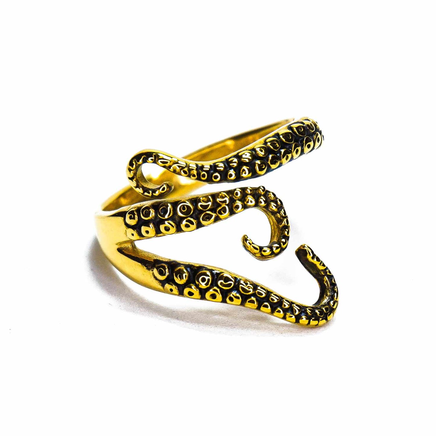 Anillo tentáculos