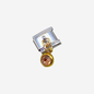 Charm piedra Plata con dorado