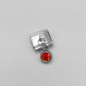 Charm piedra Plata