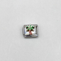 Charm Palmera